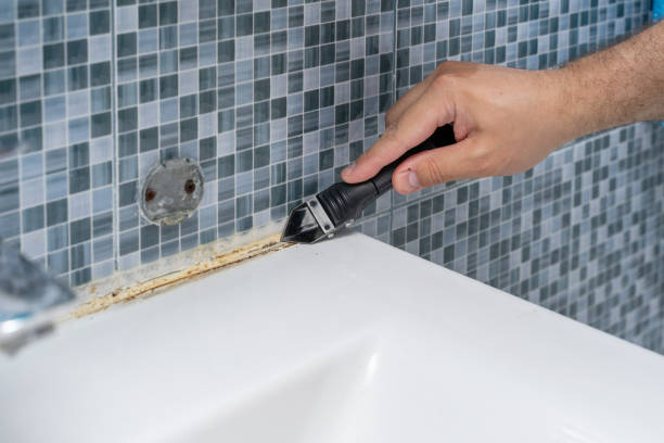 Best Emergency Mold Remediation in South Jacksonvle, IL